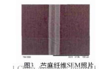 划重点：一键了解黄麻可纺性