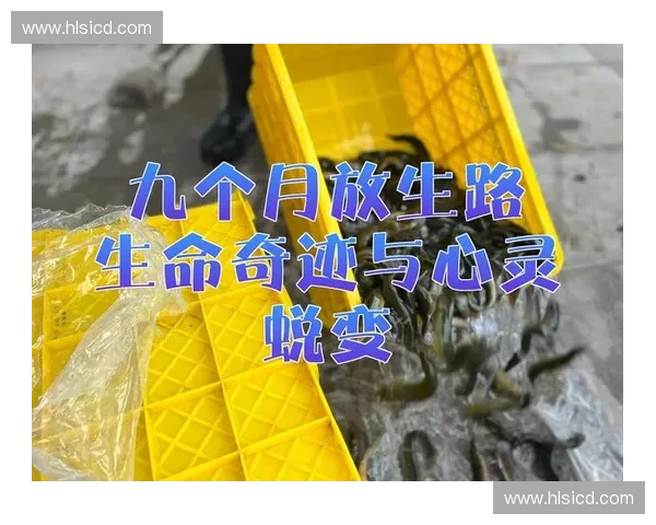 漂流人生的奇幻旅程与心灵蜕变探索之旅 漂流人生的奇幻旅程与心灵蜕变探索之旅